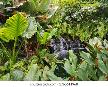 waterfall​ and​ trees​ in​ garden​