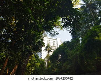 hidden buildings among the trees.