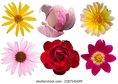 1,485 Цветы Images, Stock Photos & Vectors | Shutterstock