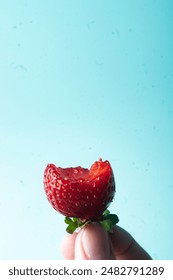 Deicious juicy stawberry close up in hand on blue background copy space