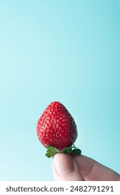 Deicious juicy stawberry close up in hand on blue background copy space