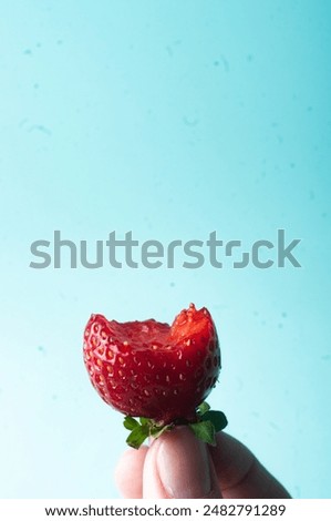 Deicious juicy stawberry close up in hand on blue background copy space