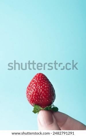 Deicious juicy stawberry close up in hand on blue background copy space