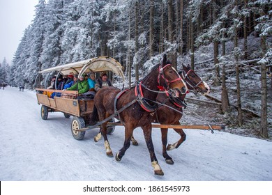 01-13-2018 Zakopane, Poland. Horse-drawn  carriage  cheerfully moving downhill   -Road to lake Morkie Oko . Zakopane  Tatra   reserve .