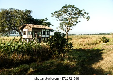 08-11-2008 – 07:23:26 A Forest Ranger’s Office In The Wide Area Of World Heritage Site, Kaziranga National Park. Assam India