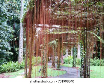 09302017 Singapore Botanic Gardens Vine Covered Stock Photo 731998840 ...