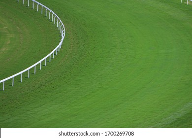 1 July 2008 Horse Racing At Hong Kong Jockey Club