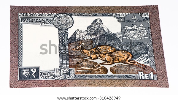 1 Nepalese Rupee Bank Note Nepalese Stock Photo Edit Now 310426949