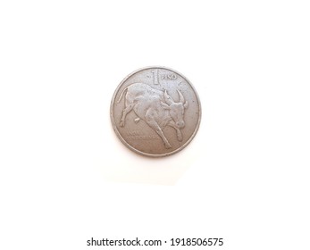 1 Piso Coin of Republika NG Filipinas Jose Rizal Back Side Coin