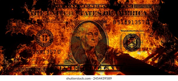 1  US dollar banknote in flame for design purpose - Powered by Shutterstock