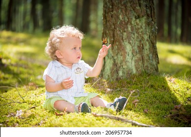 1 year old baby examining butterfly sitting on his hand