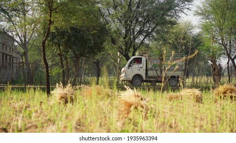 10 March 2021-Metro City, Jaipur, India. Selective Focus On Tempo Running On Road Through Agriculture Fields. Truck Closeup On Road And Passing Through Rural Pathway.