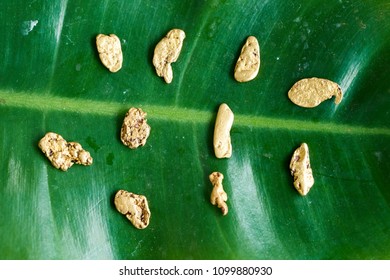 10 Real Gold Nugget On Green Leaf