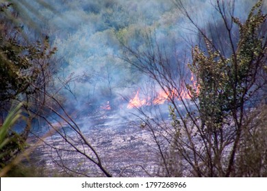 10th August, 2020 - Catania, Sicily, Italy. Large Wild Fires Tear Through The Dry Land Of Sicily Threatening To Overtake Homes And Businesses By Engulfing Them In Fire And Burning Them To The Ground.