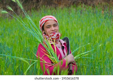 11 April 2021, WAN, Chamoli, Uttarakhand, India. Portrait Of An Indian Village Girl Cutting Grass In Farm In The Himalaya Region.