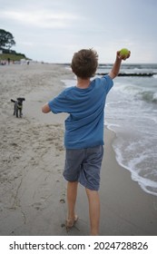 11 Year Old Boy Is Playing Fetch The Ball With Its Poodle Dog At Beach                              