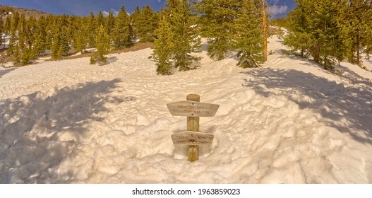 11,400 Foot Marker On The Way To Humphrey's Peak