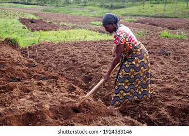 3,070 Subsistence agriculture Images, Stock Photos & Vectors | Shutterstock