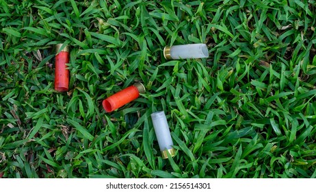 12 Caliber Shotgun Shells On The Grass