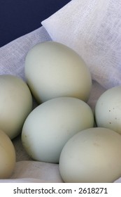 1/2 Dozen Eggs