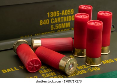 12 Gauge Bullet Shotgun Shell Green Stock Photo 1980717278 | Shutterstock