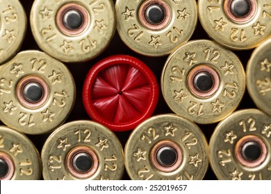 12 gauge shotgun shells used for hunting
