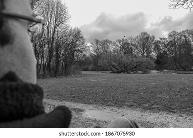 14.02.2012. Amsterdam. Netherland. A Alone Man Back Side, Who Is Looking For The Nature In Park Amsterdam. Black And White Photo.