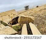 14th Century Countryside Ruins Azerbaijan