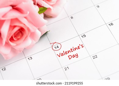 14th Feb Valentine's Day Marked On Calendar Date With Pink Rose