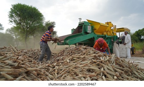 15 August 2022, Sikar, India. Grain Harvester With Thresher Tractor. Tractor With Thresher Machine Closeup In Agriculture Field.