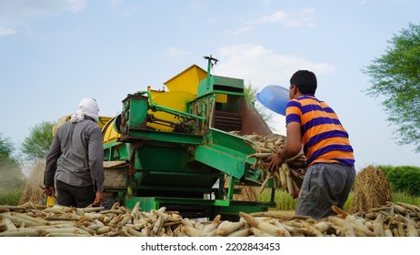 15 August 2022, Sikar, India. Grain Harvester With Thresher Tractor. Tractor With Thresher Machine Closeup In Agriculture Field.