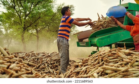 15 August 2022, Sikar, India. Grain Harvester With Thresher Tractor. Tractor With Thresher Machine Closeup In Agriculture Field.