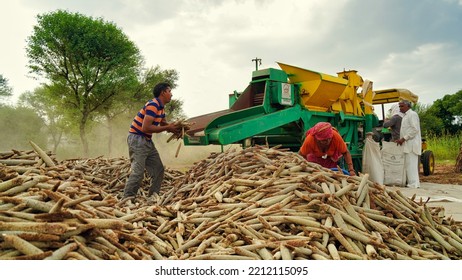 15 August 2022, Sikar, India. Grain Harvester With Thresher Tractor. Tractor With Thresher Machine Closeup In Agriculture Field.