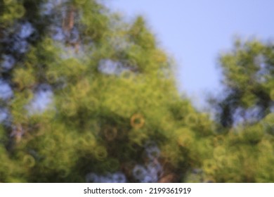 15 OCT 2011 Blur Defocused Park Garden Tree In Nature Background