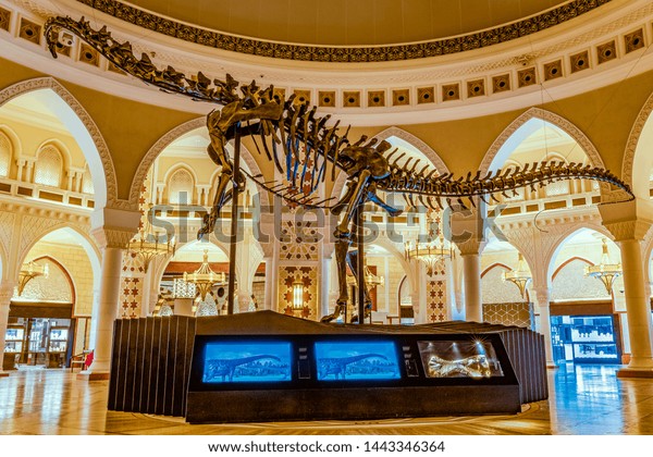 155millionyearold Dinosaur Skeleton Located Permanent Display