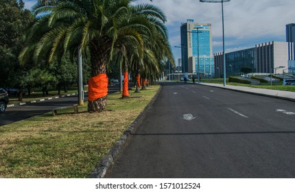 16 Days Of Activism Against Gender-Based Violence, At African Union Commission, Addis Ababa, Ethiopia, 26 November 2019