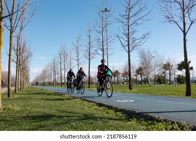 16.06.2022- Istanbul, Turkey : Three Cyclists On The Tree-lined Bike Path. Sport, Healthy Life And Outdoor Activities Concept.  No People Face In Photo.