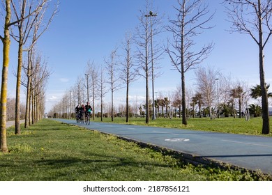 16.06.2022- Istanbul, Turkey : Three Cyclists On The Tree-lined Bike Path. Sport, Healthy Life And Outdoor Activities Concept.  No People Face In Photo.