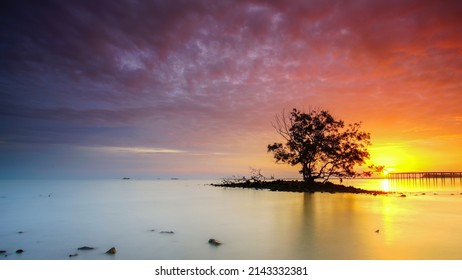vue 16x9 d'un seul arbre solitaire au milieu de la mer avec un spectaculaire coucher de soleil sur fond