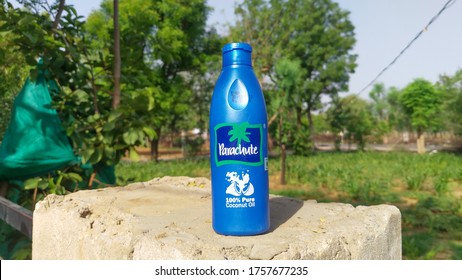 17 June 2020 : Reengus, Rajasthan, India / Pure Coconut Hail Oil Bottle. Parachute Coconut Oil Plastic Bottle Isolated In The Green Background.