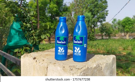 17 June 2020 : Reengus, Rajasthan, India / Pure Coconut Hail Oil Bottle. Parachute Coconut Oil Plastic Bottle Isolated In The Green Background.