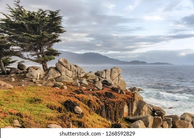 17 Mile Drive Scenic Views. Monterey County, California, USA.