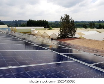 A 176 KW Captive Solar Power Plant Installed For The Needs Of A Flower Farm In Nakuru, Kenya