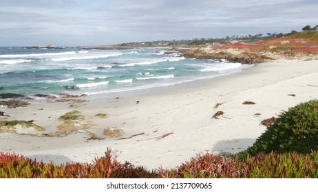 17-mile drive, Monterey, California USA. Suburban real estate, houses by ocean, waterfront villas, beachfront cottages. Pacific coast near Pebble beach and Carmel by the Sea. Vacations rental property