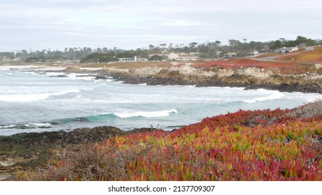17-mile drive, Monterey, California USA. Suburban real estate, houses by ocean, waterfront villas, beachfront cottages. Pacific coast near Pebble beach, Carmel by the Sea. Seamless looped cinemagraph.