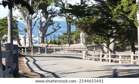 17-mile drive scenic road, Monterey, California, USA. Road trip thru cypress tree forest, coniferous pine. Pacific coast highway tourist route near Point Lobos, Big Sur and Pebble beach, golf by ocean