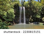 The 18.3 ms.high Millaa Millaa Falls plunging from a wall of weathered-striated volcanic basalt rocks into a natural pool carved by the Theresa Creek flowing through the waterfall. Tablelands-QLD-AUS.