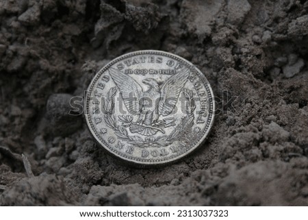 1879 Morgan Silver Dollar On Ground in Dirt Back View