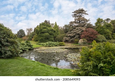 18th Century By Capability Brown Grounds At Sheffield Park East Sussex