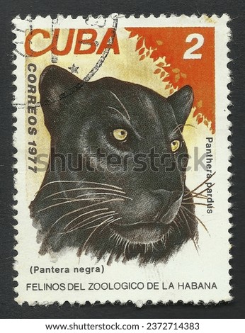 1977 Cuban postage stamp: black panther Panthera Pardus. Text in Spanish 